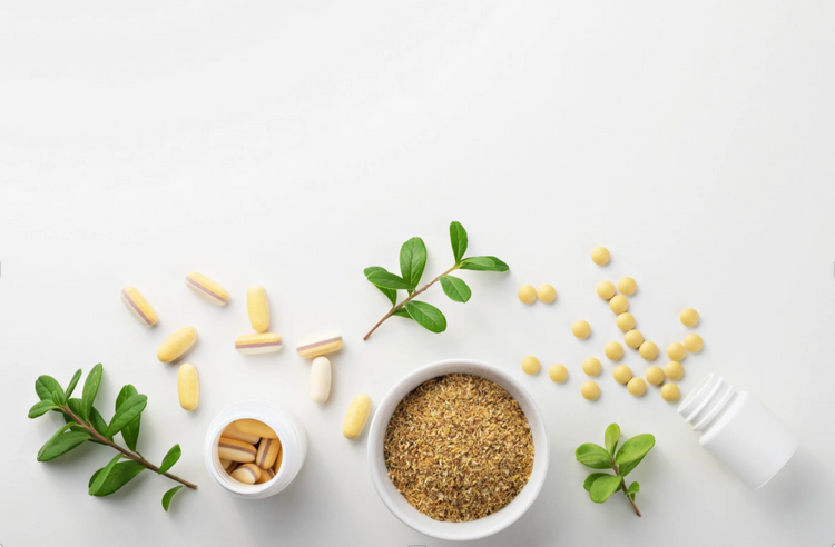 Bestseller & Favoriten