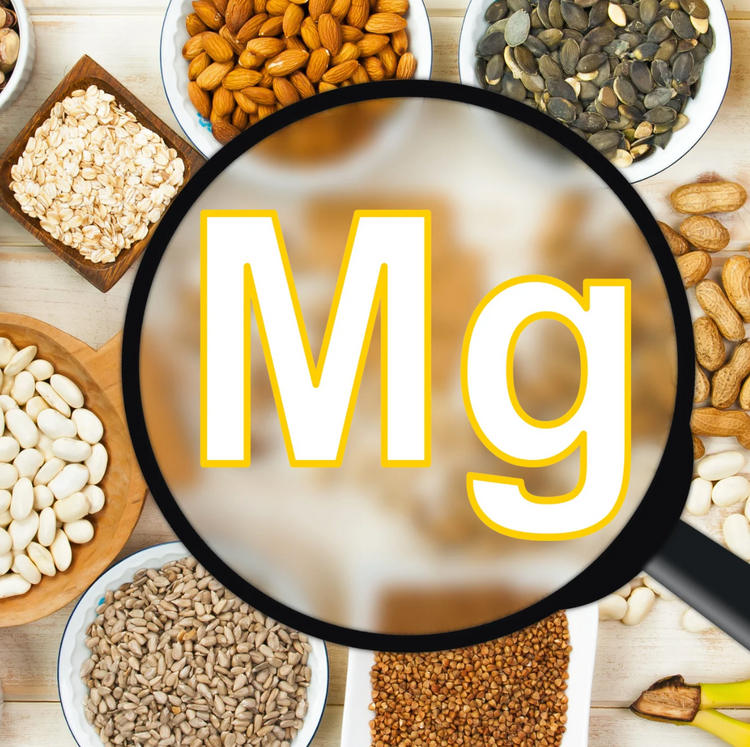 MagFlow - Optimierung der Magnesiumversorgung