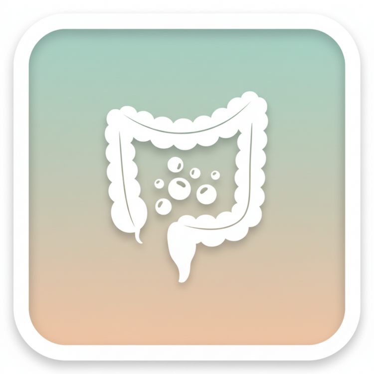 Darm und Ballaststoffe