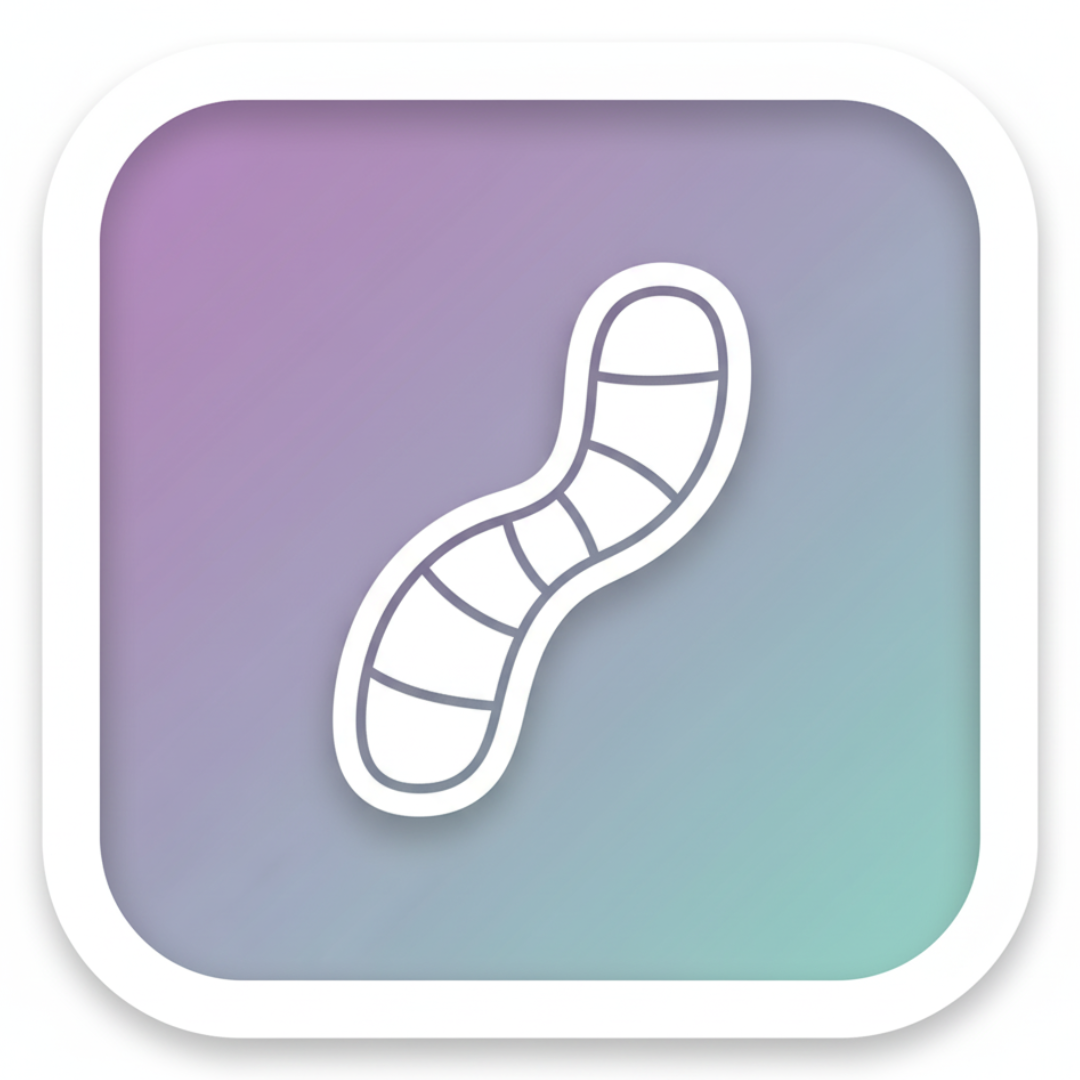 Mitochondrien