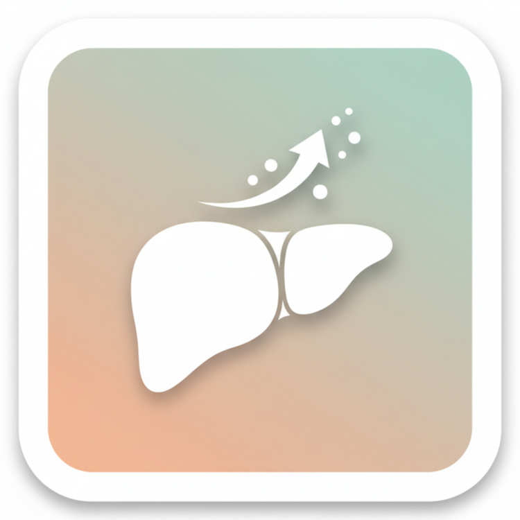 Detox & Lebergesundheit