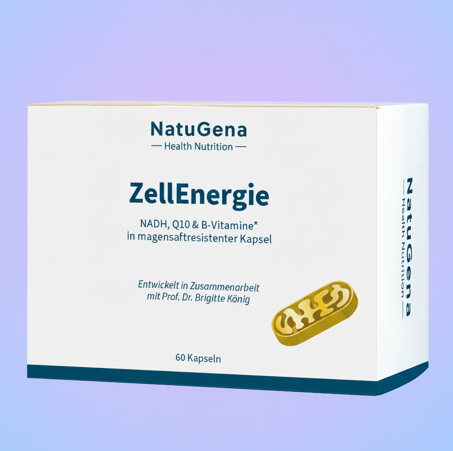 ZellEnergie