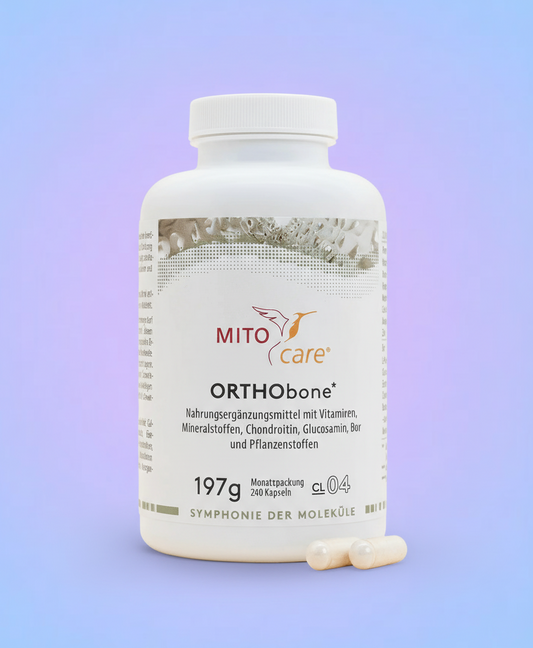 ORTHObone