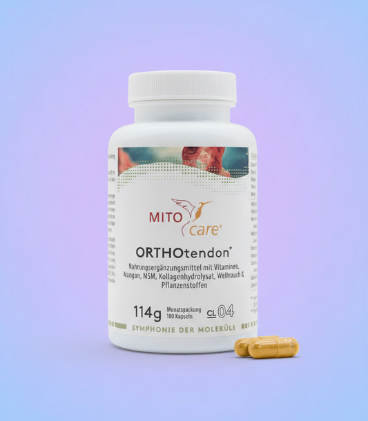 ORTHOtendon