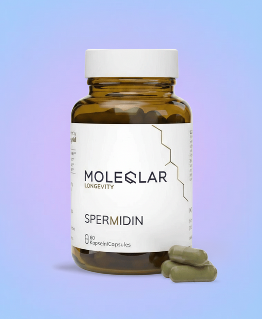 Spermidin Kapseln