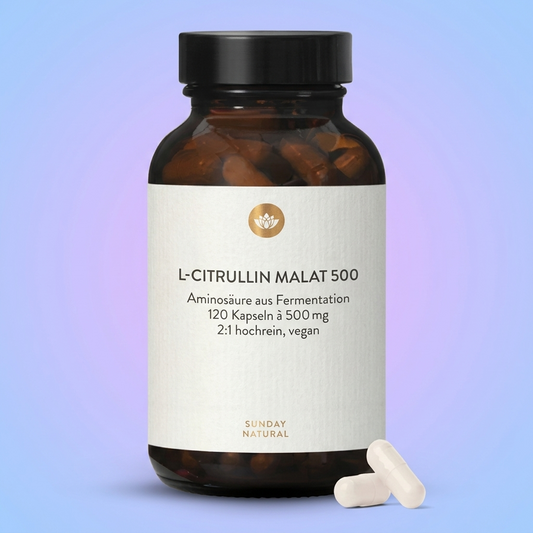 L-Citrullin Malat 500mg